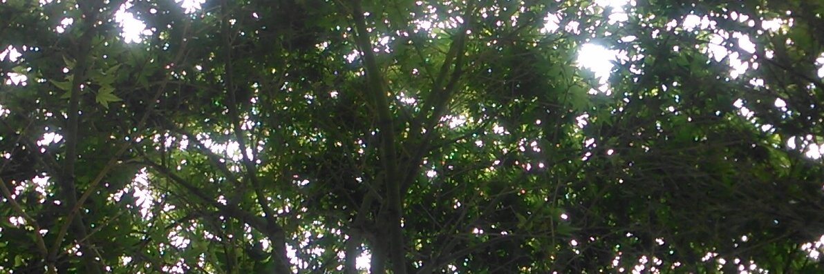 GiuseppoI's profile banner image