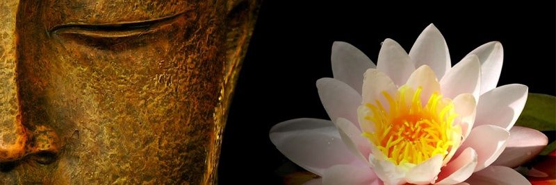 klaudy31's profile banner image