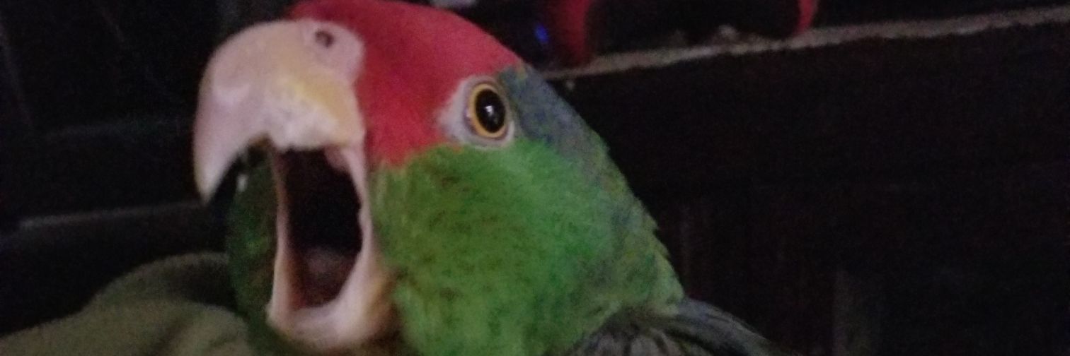 AL3X195's profile banner image