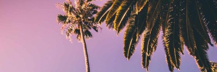 thayaf's profile banner image