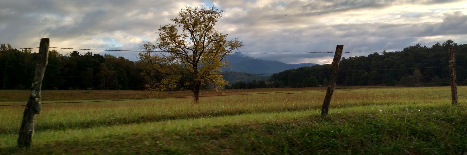 Daniel ⛳️🏌🏻‍♂️ banner