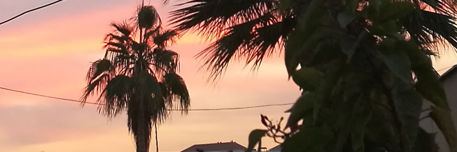 ARTIPARIKH's profile banner image