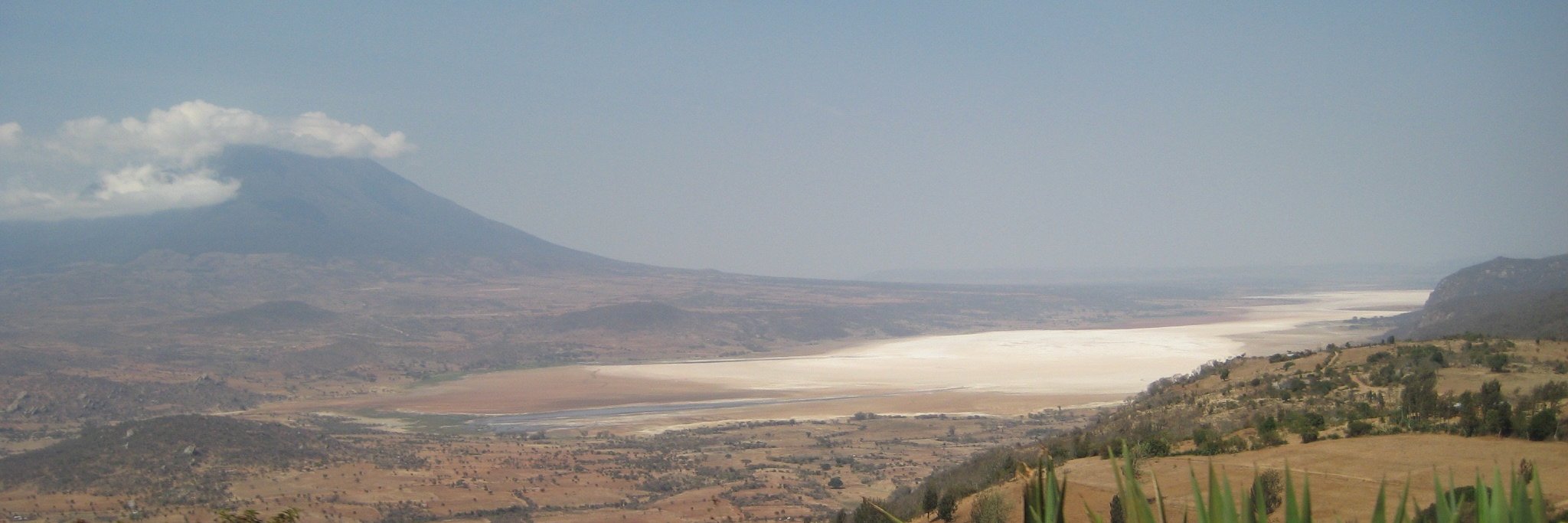 Mary Prendergast banner