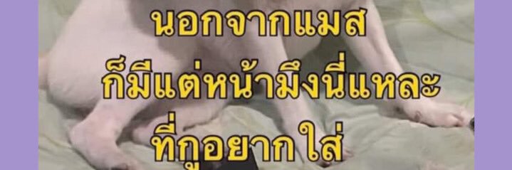 คุณ banner