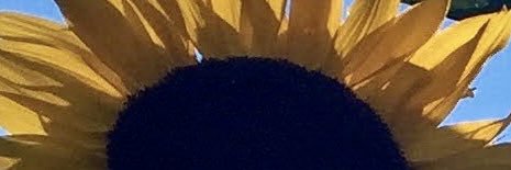 DmhMft's profile banner image