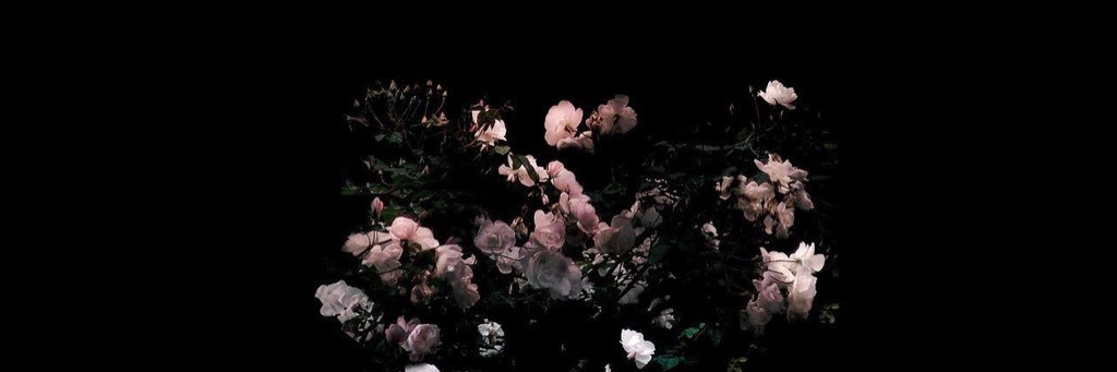 reehyi's profile banner image