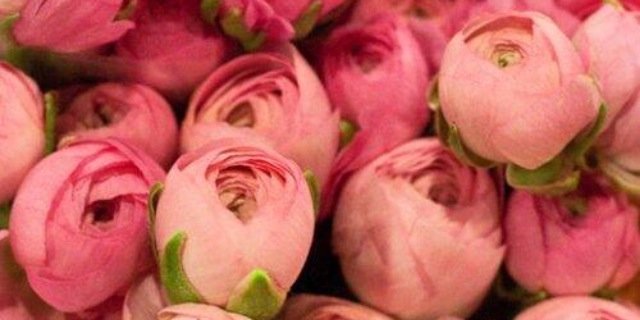 DreamsbyDri's profile banner image