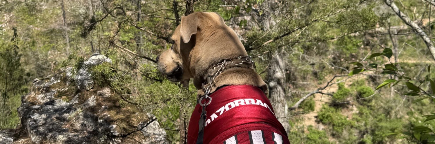 BrendaaKr's profile banner image
