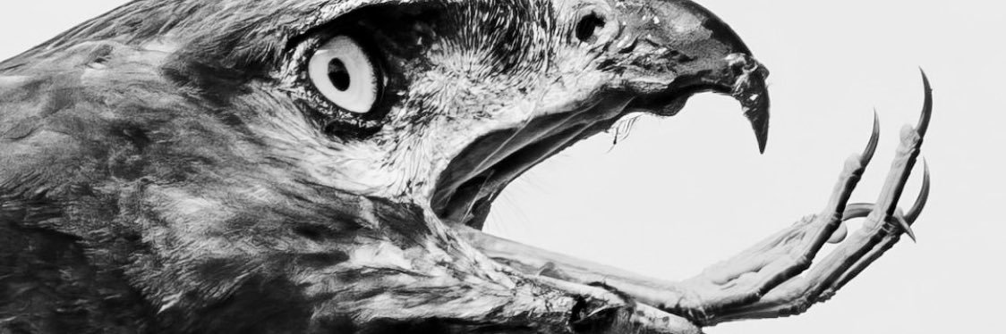 JustinChard's profile banner image