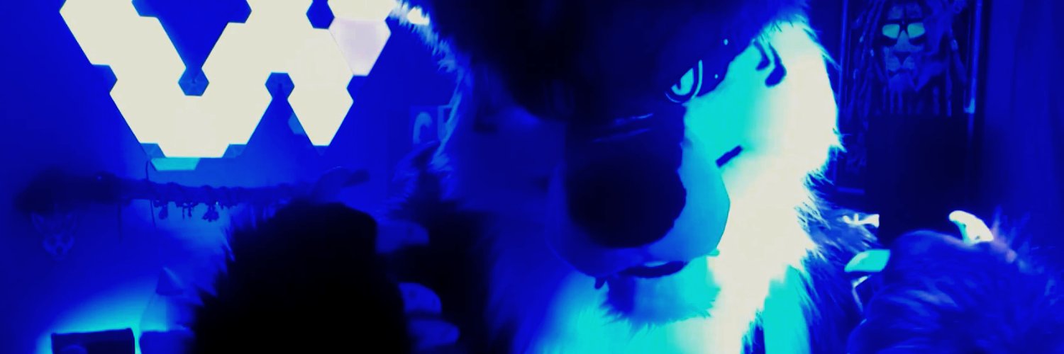 VileFox 🪶Blackfoot Native🪶 banner