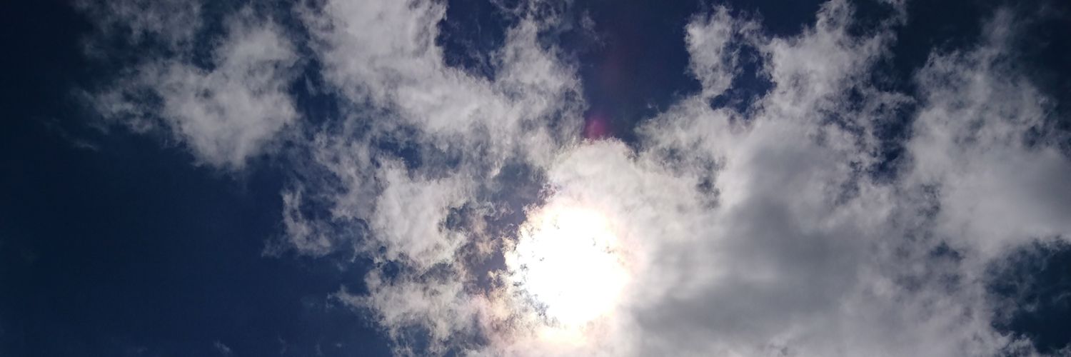 mimosa4313's profile banner image