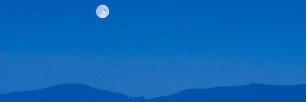 Travel Virtual banner