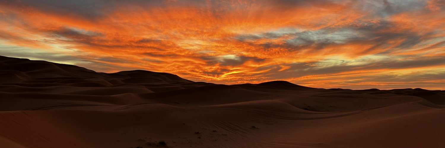 Olmo_56's profile banner image