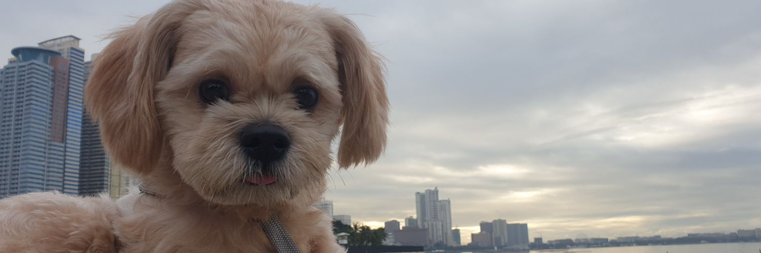 aaanguiii's profile banner image