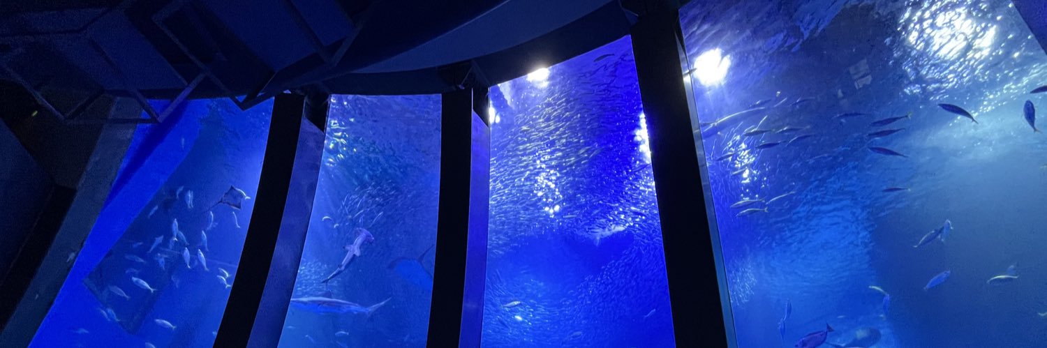 meta2｜「麻枝准トリビュート2」BOOTH頒布中｜5月文フリ東京・鍵島出展 banner