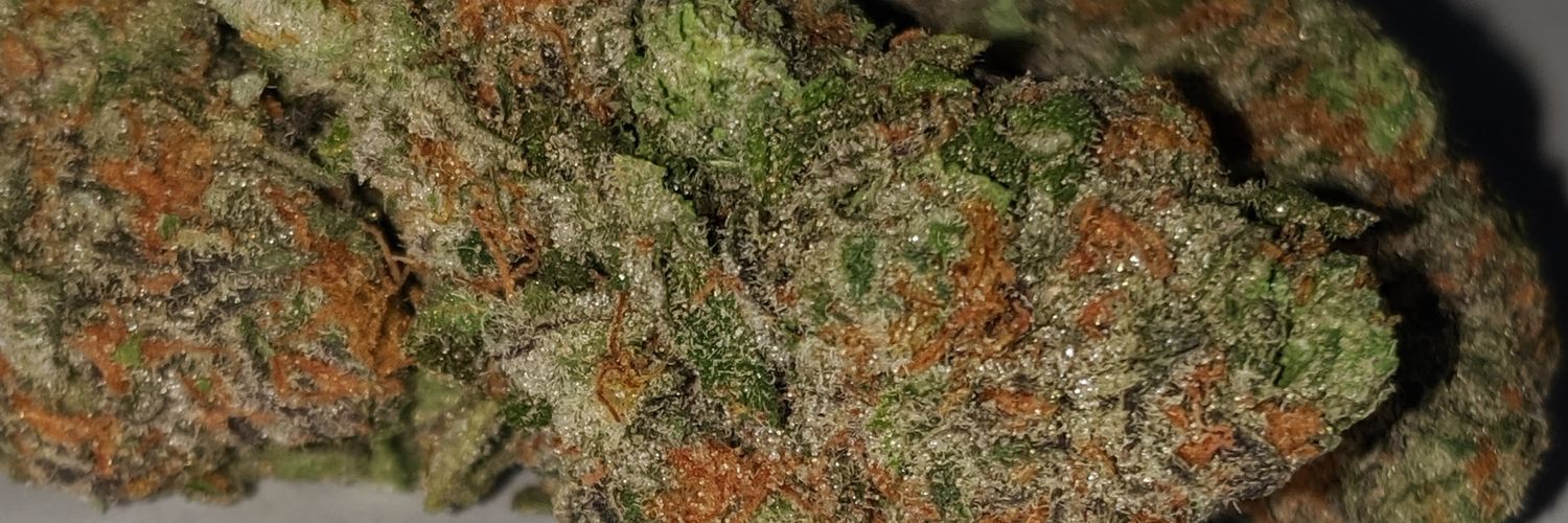 Bleek710's profile banner image