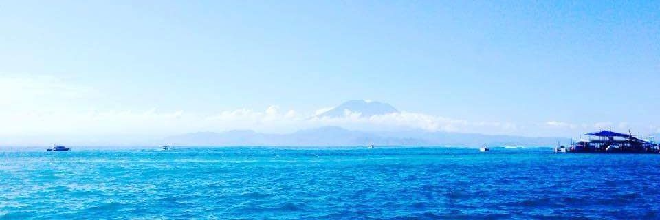 hanna_squid's profile banner image