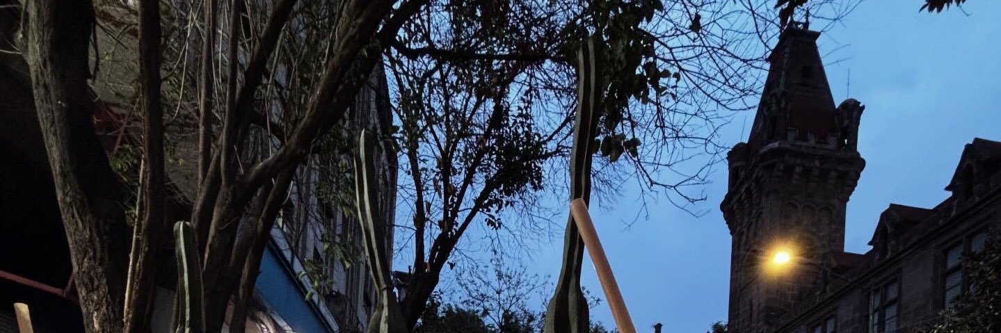 Ariel Acosta (𝕮𝖔𝖓𝖉𝖊) banner
