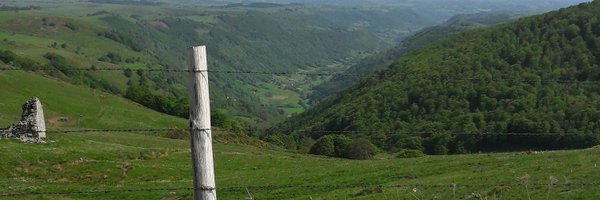 BenezitPatrick Profile Banner
