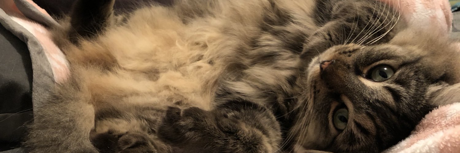 iroodee's profile banner image