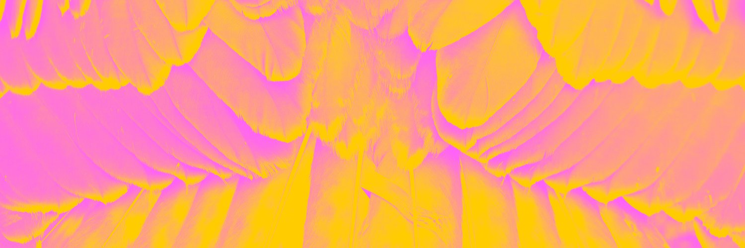 LaMola_web's profile banner image
