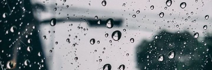 afnr231's profile banner image