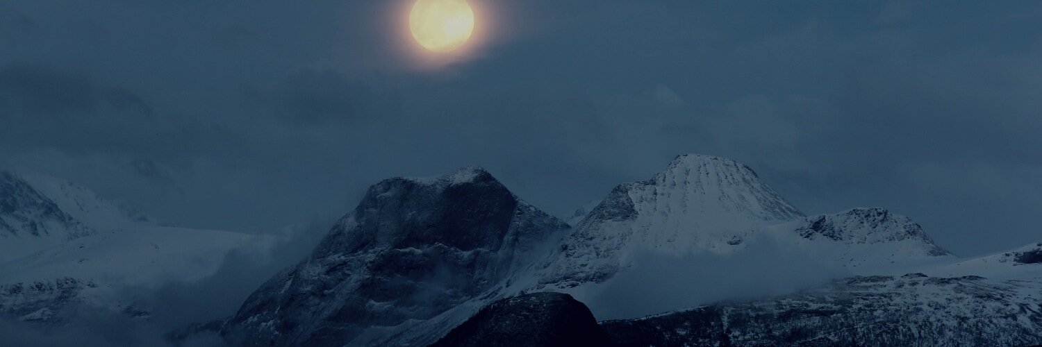 Martin O Reistadbakk banner