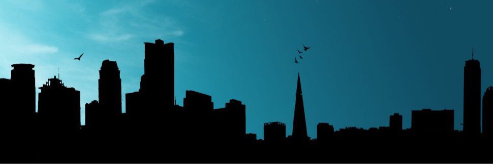aydinberg's profile banner image