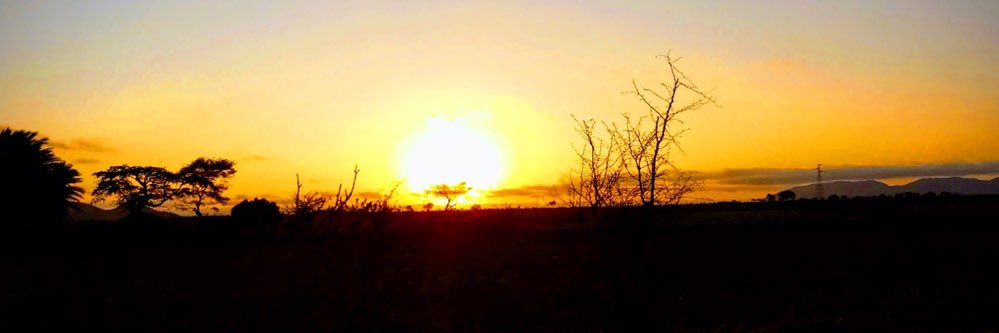 william_ventura's profile banner image