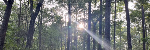 MrsNguyenTheDay Profile Banner