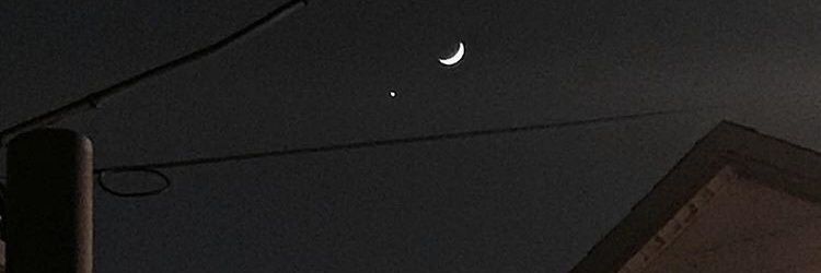 nini banner