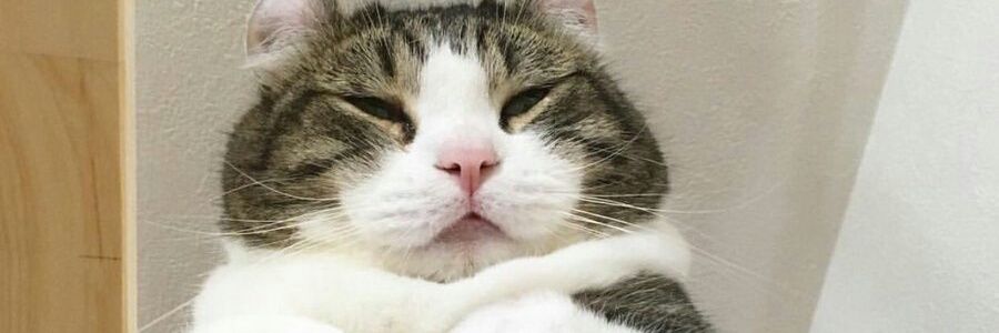 -Smile- banner