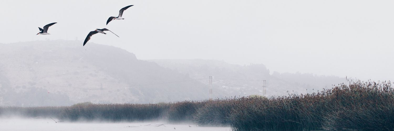 JERIA07's profile banner image