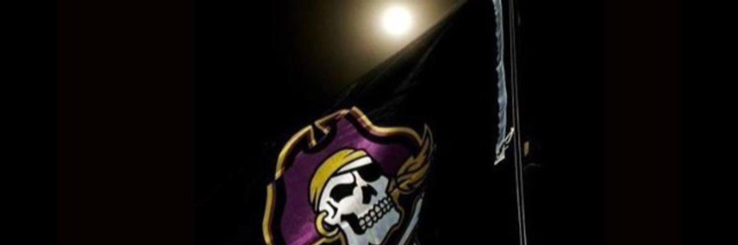 Lynyrd Zynyrd banner