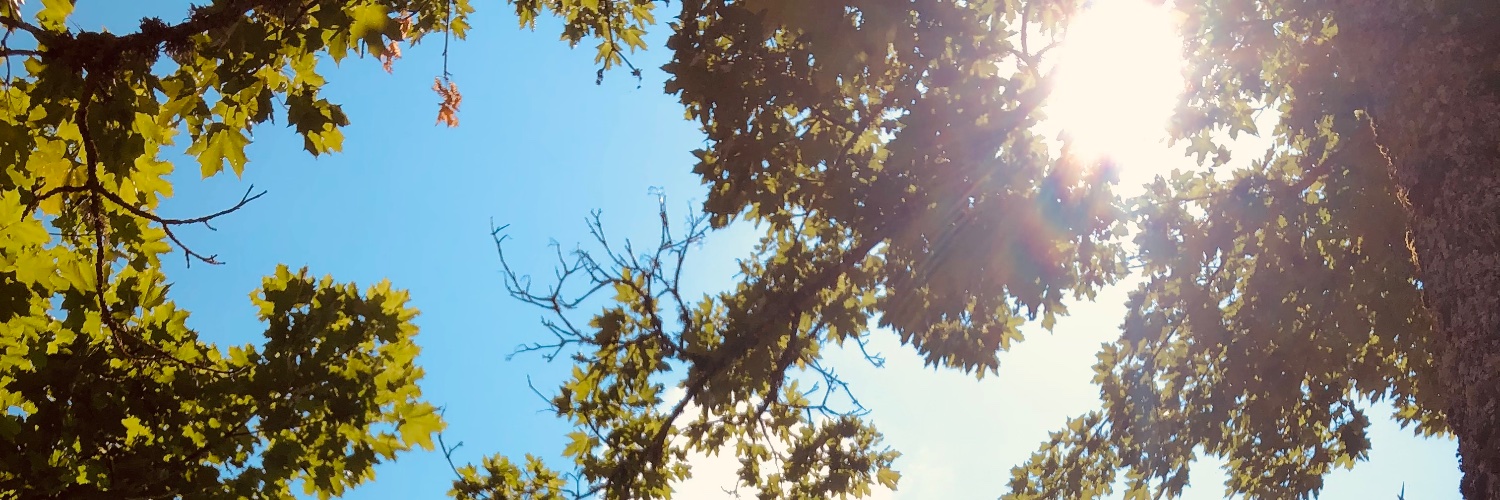 rauls1996's profile banner image