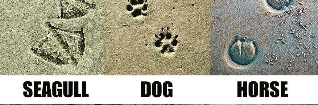 Cath Cooper 🍃💚🍃 #PlasticFreeJuly banner