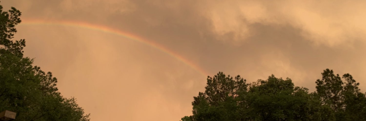 GuadaVacas's profile banner image