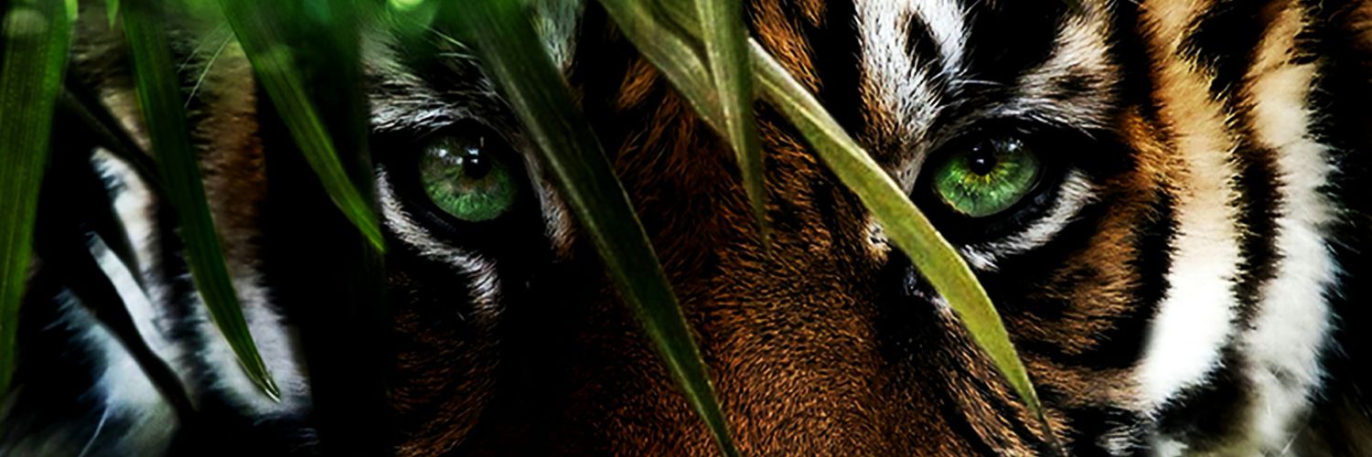 BenjiDanielson's profile banner image