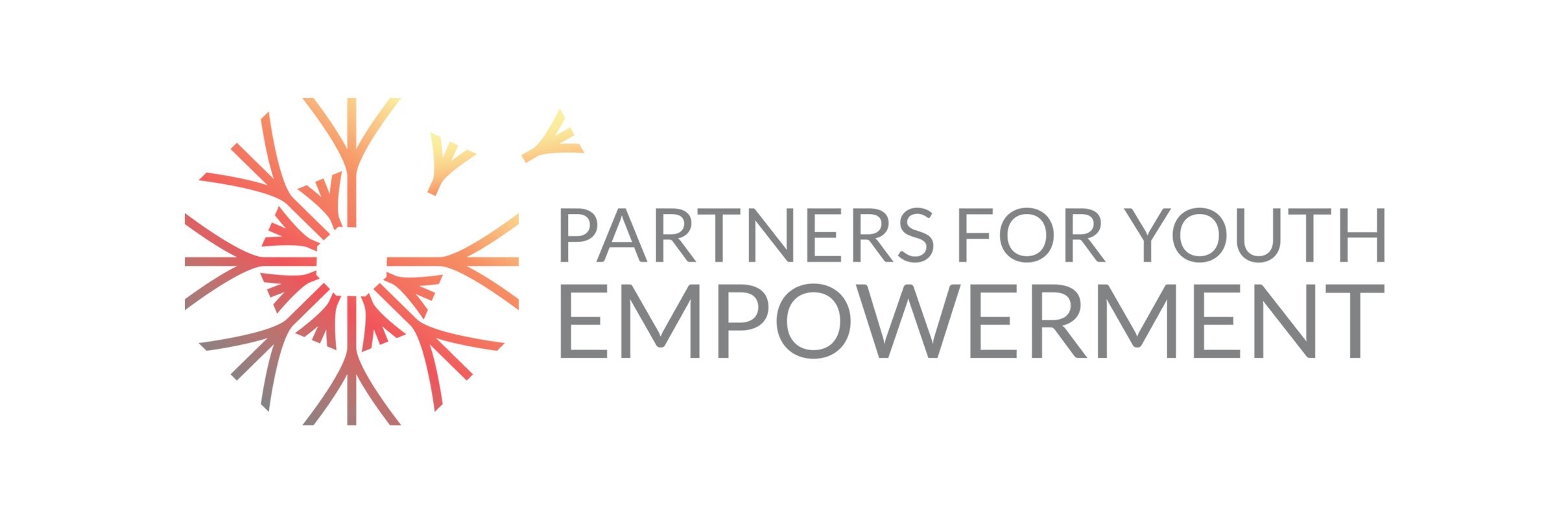 Partners for Youth Empowerment (PYE Global) banner