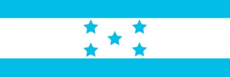 Roselsanz's profile banner image