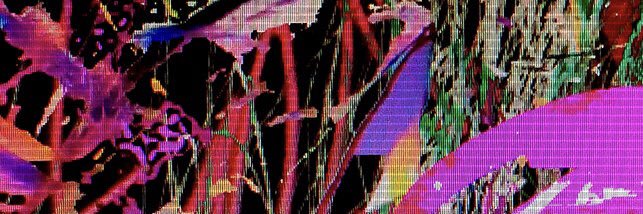 citron banner