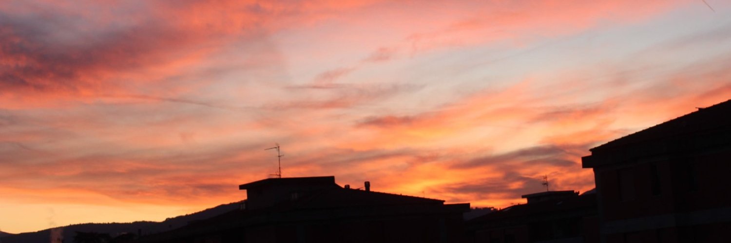 soniadomi's profile banner image