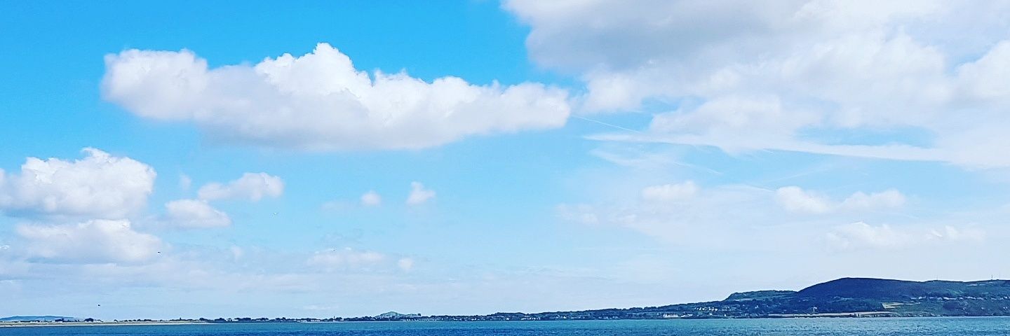 oreillyfmp's profile banner image