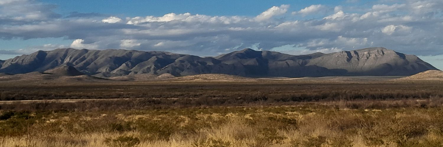 Oscar banner