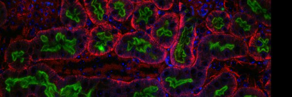 HerrlichLab Profile Banner