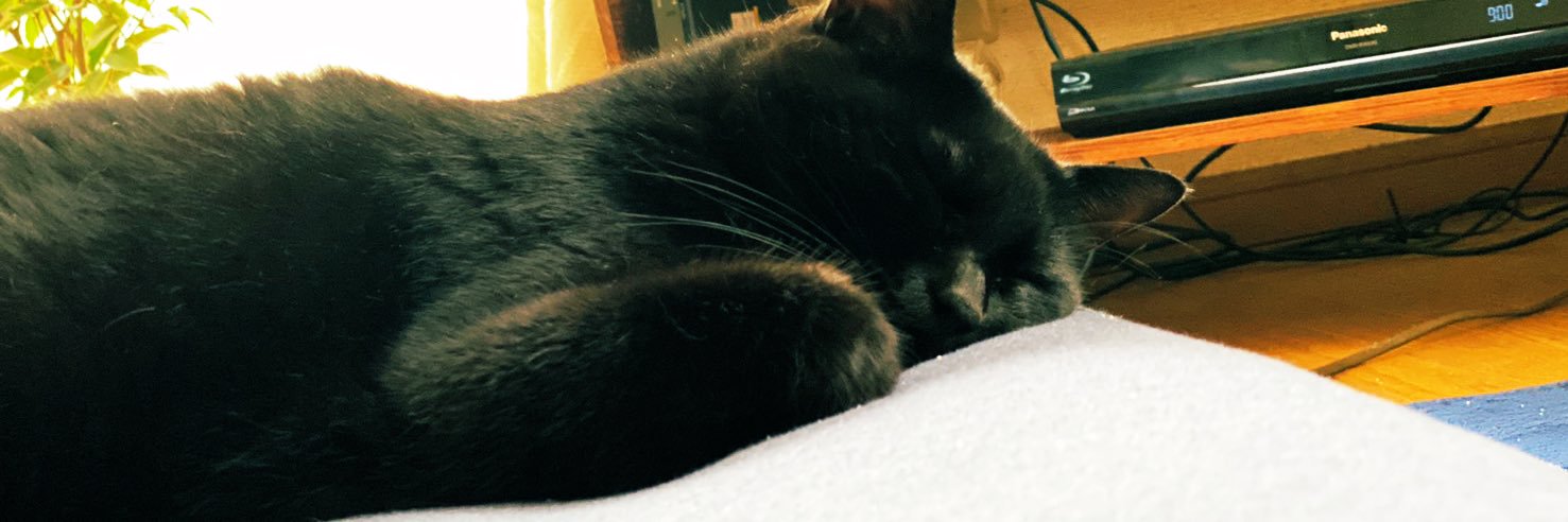 PRboss22's profile banner image