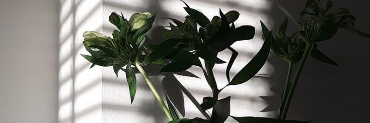 Eroor_0's profile banner image