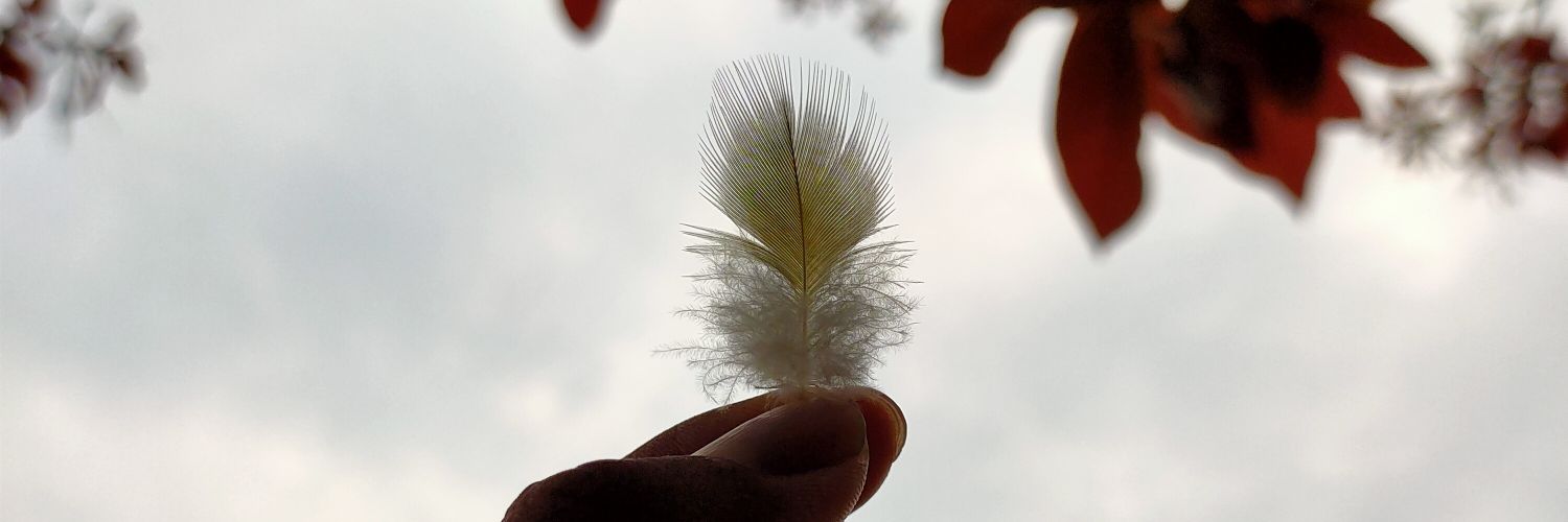 ashvinmalviya10's profile banner image