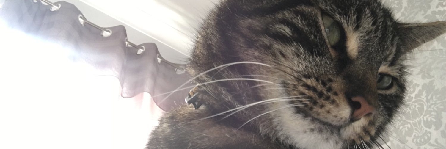 k8m8_'s profile banner image