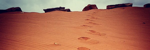 XavierGRivera Profile Banner